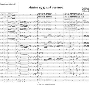 Amina, Egyptisk serenad