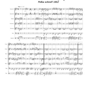 Auf Ferienreisen, Op 133