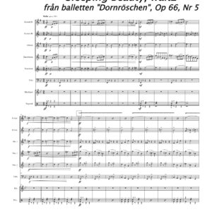 Sleeping Beaty, waltz