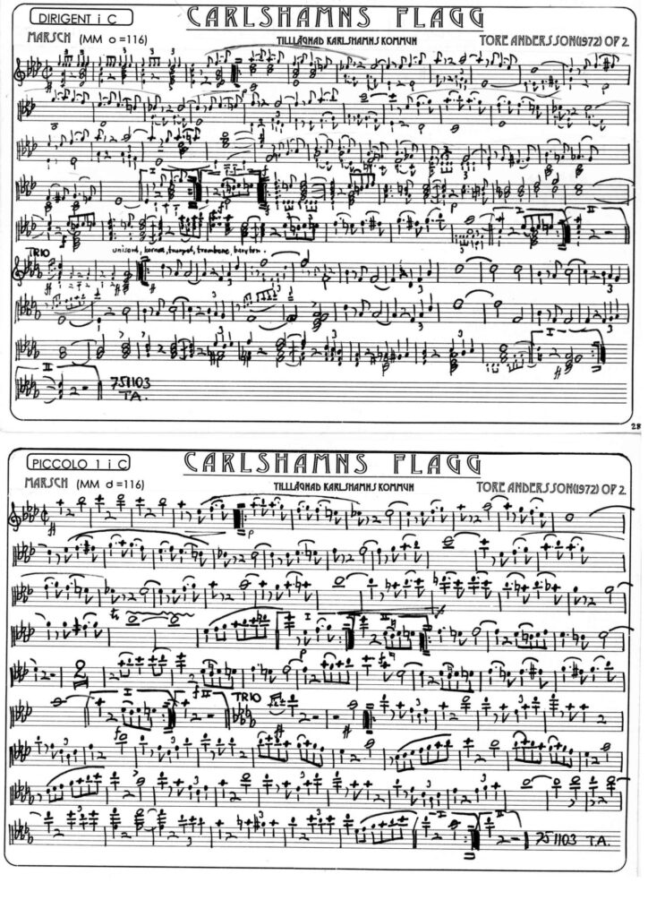 Carlshamns Flagg