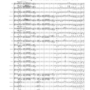 Colonial Dames, The  1896