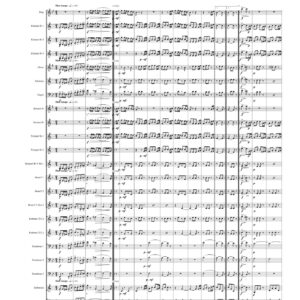 Czech polka, Op 13, 1846