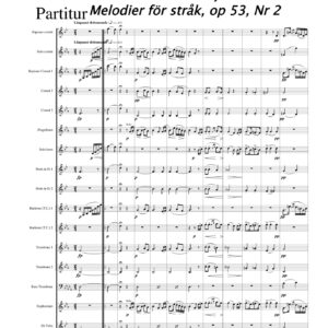 Det förste möte, romans, Op 53