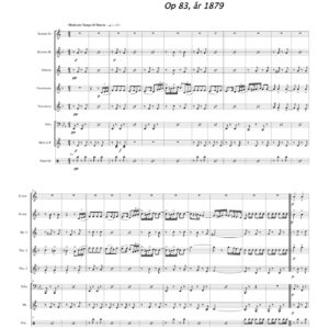 Die Türkische Schaewache, Op 83