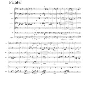 Il Bergsaglie/ The Italien Rifleman