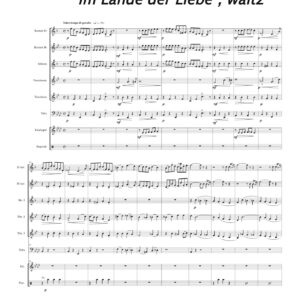 Im Lande der Liebe, waltz