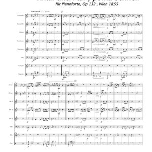 Knall och Fall, polka schnell