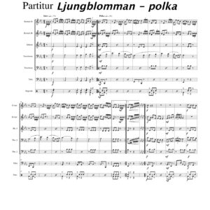 Ljungblomman - polka