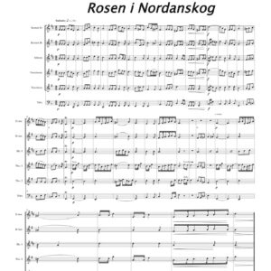 Rosen i Nordanskog, andante