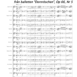 Sleeping Beaty, waltz