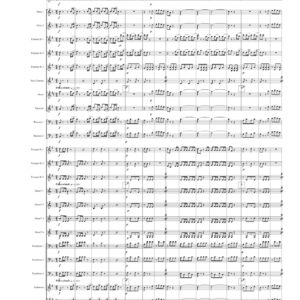 Sport polka, schnell