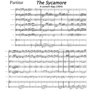 Sycamore, the - A consert rag (1904)