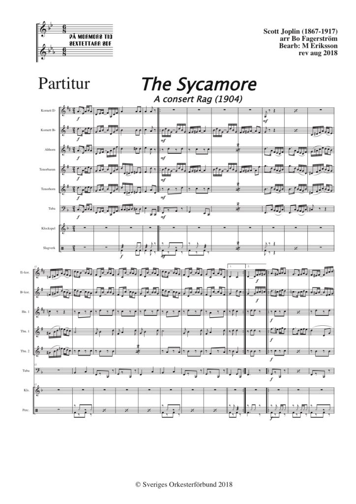 Sycamore, the - A consert rag (1904)