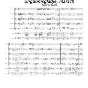 Ungdomsglädje / Spirit of Youth