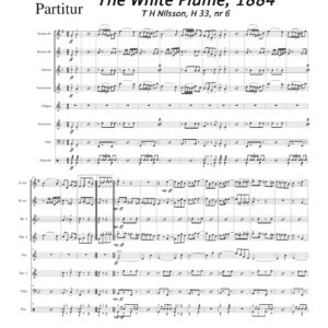 The White Plume, 1884