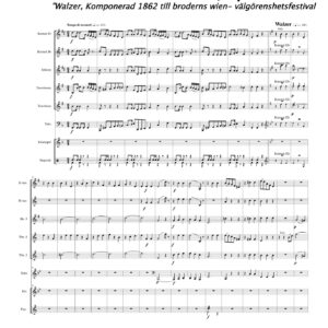 Wiener - Chronik, op 268