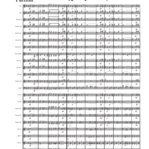 Nordiska Spelen / Bråvalla flygflotiljs marsch F13