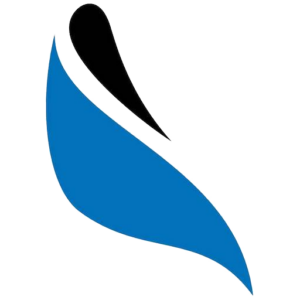 Förbundsmedalj guld + släpspänne, paketpris